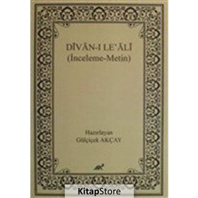 DIVAN ÜSTÜNE ELEŞTİRİLER - M. ALI TANYERI