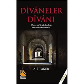 Divaneler Divanı - Ali Toker