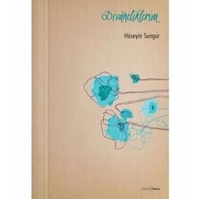 Divaneliklerim - Hüseyin Sungur