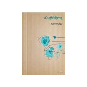 Divaneliklerim - Hüseyin Sungur