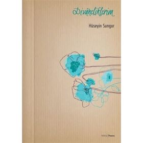 Divaneliklerim - Hüseyin Sungur