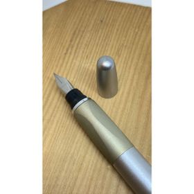 Divitpen Prestij Sılver Gold Dolma Kalem