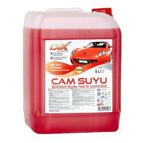 Divortex 5 lt Şampuanlı Yazlık Cam Suyu