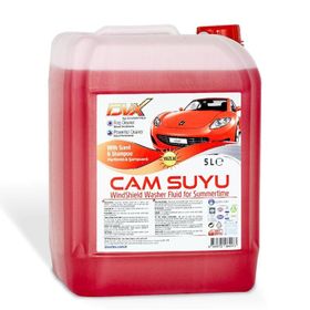 Divortex 5 lt Şampuanlı Yazlık Cam Suyu
