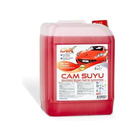 Divortex 5 lt Şampuanlı Yazlık Cam Suyu