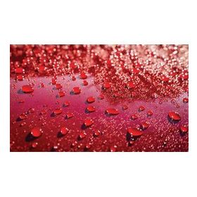 Divortex DVX737 Paint Guardian Wax 473 ml Boya Koruma Cilası