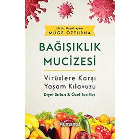 DİVRİĞİ MUCIZESI SELÇUKLULAR ÇAĞINDA İSLAM BEZEME SANATI ÜZERİNE BIR DENEME - DOĞAN KUBAN