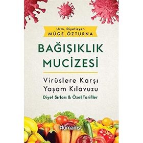 DİVRİĞİ MUCIZESI SELÇUKLULAR ÇAĞINDA İSLAM BEZEME SANATI ÜZERİNE BIR DENEME - DOĞAN KUBAN