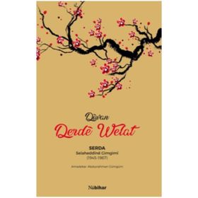 Diwan - Derde Welat