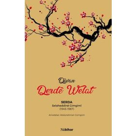 Diwan - Derde Welat