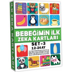 Dıy Toy 2212 Eğitici Kartlar 12-24 Ay Zeka Kartları Çocuk Oyun Seti