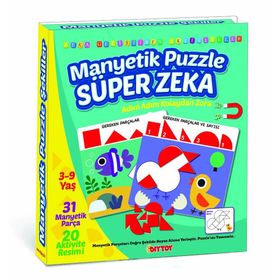 Dıy Toy Manyetik Puzzle Süper Zeka