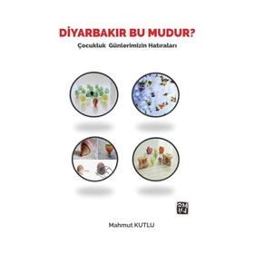 Diyarbakır Bu Mudur? - Mahmut Kutlu