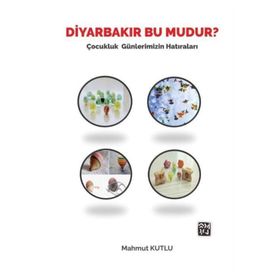 Diyarbakır Bu Mudur? - Mahmut Kutlu