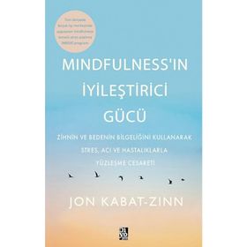 Diyojen Yayıncılık Mindfulness'in İyileştirici Gücü