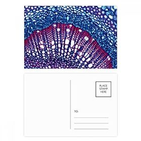 Dıythinker 14x9 cm 20 Adet Renkli Bitki Bilim Hücresi Mikrokozmik Desen Kartpostal Seti