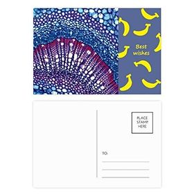 Dıythinker 14x9 cm 20 Adet Renkli Bitki Bilim Hücresi Mikrokozmik Desen Muz Kartpostal Seti