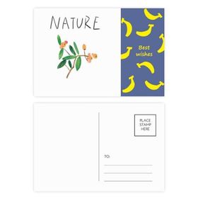 Dıythinker 14x9 cm 20 Adet Renkli Doğal Bitkiler Soloisland Tablo Muz Kartpostal Seti