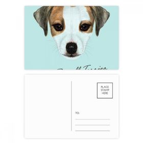 Dıythinker 14x9 cm 20 Adet Renkli Jack Russell Terrier Köpek Evcil Hayvan Kartpostal Seti