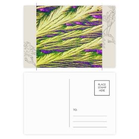 Dıythinker 14x9 cm 20 Adet Renkli Kamış Kümesi Tüy Renkli Duvar Kağıdı Çiçek Kartpostal Seti
