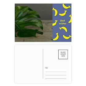Dıythinker 14x9 cm 20 Adet Renkli Masa Yaprağı Bitki Resmi Doğa Muz Kartpostal Seti