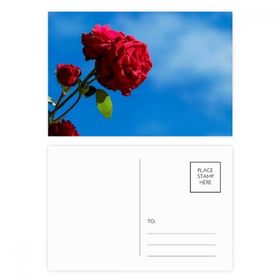Dıythinker 14x9 cm 20 Adet Renkli Mavi Gökyüzü Kırmızı Güller Yeşil Yapraklar Kartpostal Seti
