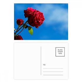Dıythinker 14x9 cm 20 Adet Renkli Mavi Gökyüzü Kırmızı Güller Yeşil Yapraklar Kartpostal Seti