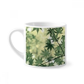 Dıythinker 170 ml Beyaz Akçaağaç Yaprağı Bitki Resmi Doğa Mini Kahve Seramik Kupa