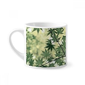 Dıythinker 170 ml Beyaz Akçaağaç Yaprağı Bitki Resmi Doğa Mini Kahve Seramik Kupa