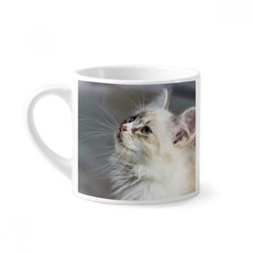 Dıythinker 170 ml Beyaz Beyaz Evcil Hayvan Kedi Hayvan Profili Sevimli Stare Mini Kahve Seramik Kupa