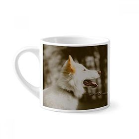 Dıythinker 170 ml Beyaz Beyaz Köpek Evcil Hayvan Fotoğraf Mini Kahve Seramik Kupa