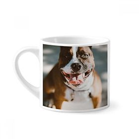 Dıythinker 170 ml Beyaz Bulldog Evcil Hayvan Korkunç Resim Mini Kahve Seramik Kupa