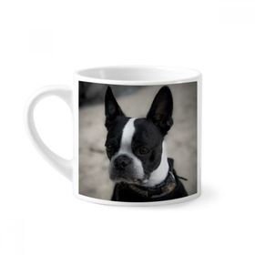 Dıythinker 170 ml Beyaz Bulldog Evcil Hayvan Koyu Resim Mini Kahve Seramik Kupa
