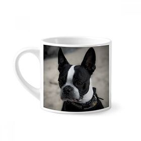 Dıythinker 170 ml Beyaz Bulldog Evcil Hayvan Koyu Resim Mini Kahve Seramik Kupa