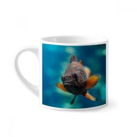 Dıythinker 170 ml Beyaz Deniz Organizması Küçük Tropik Balık Mini Kahve Seramik Kupa