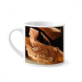 Dıythinker 170 ml Beyaz Düşen Yapraklar Bitki Doğa Fotoğrafçılığı Mini Kahve Seramik Kupa