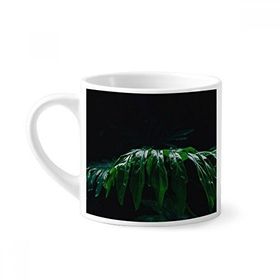 Dıythinker 170 ml Beyaz Fotoğraf Yaprakları Bitki Resmi Doğa Mini Kahve Seramik Kupa
