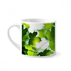 Dıythinker 170 ml Beyaz Güneş Işığı Yaprağı Bitki Resmi Doğa Mini Kahve Seramik Kupa
