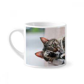 Dıythinker 170 ml Beyaz Hayvan Aktivitesi Kedi Fotoğraf Resim Mini Kahve Seramik Kupa