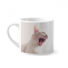 Dıythinker 170 ml Beyaz Hayvan Beyaz Şiddetli Kedi Fotoğrafı Mini Kahve Seramik Kupa