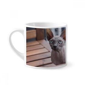 Dıythinker 170 ml Beyaz Hayvan Büyük Kulak Kedi Fotoğraf Çekimi Mini Kahve Seramik Kupa