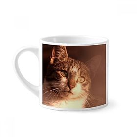 Dıythinker 170 ml Beyaz Hayvan Duygusal Kedi Simpol Shoot Mini Kahve Seramik Kupa