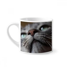 Dıythinker 170 ml Beyaz Hayvan Görünümlü Kedi Fotoğrafı Mini Kahve Seramik Kupa