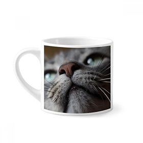 Dıythinker 170 ml Beyaz Hayvan Görünümlü Kedi Fotoğrafı Mini Kahve Seramik Kupa