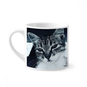 Dıythinker 170 ml Beyaz Hayvan Havalı Gri Kedi Fotoğrafı Mini Kahve Seramik Kupa