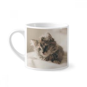 Dıythinker 170 ml Beyaz Hayvan Kitty Gri Kedi Fotoğrafı Mini Kahve Seramik Kupa