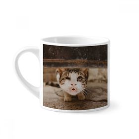 Dıythinker 170 ml Beyaz Hayvan Komik Kedi Fotoğraf Çekimi Mini Kahve Seramik Kupa