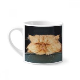 Dıythinker 170 ml Beyaz Hayvan Komik Sarı Kedi Çekimi Mini Kahve Seramik Kupa