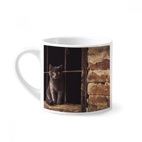 Dıythinker 170 ml Beyaz Hayvan Köşe Kedi Fotoğraf Resim Mini Kahve Seramik Kupa
