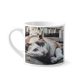 Dıythinker 170 ml Beyaz Hayvan Renkli Kedi Fotoğrafı Resim Mini Kahve Seramik Kupa